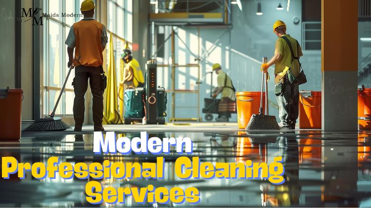 professional cleaning services in California