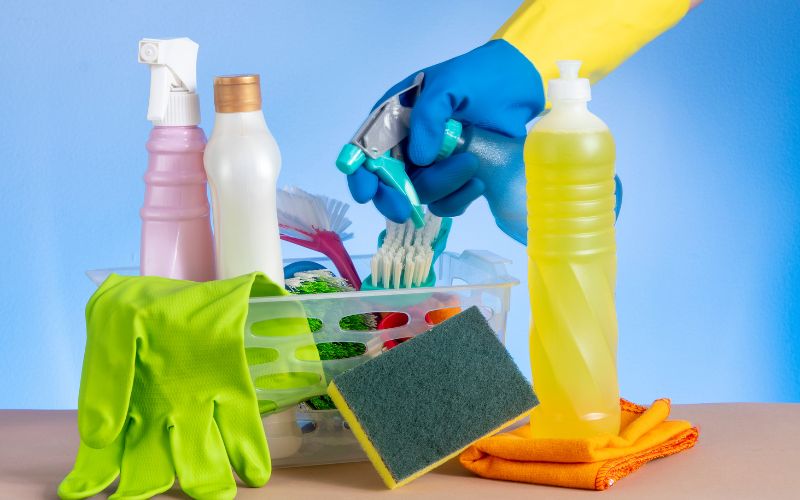 Professional home cleaning services