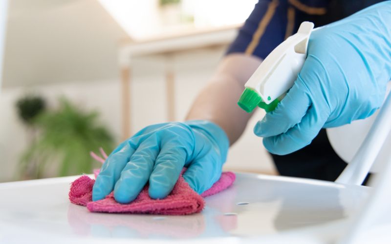 Professional home cleaning services