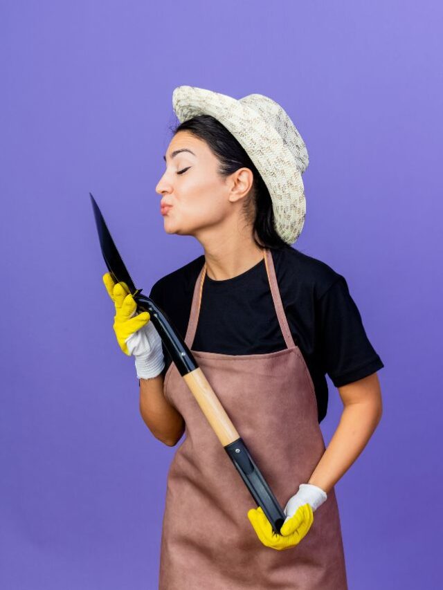 cleaning service in colton